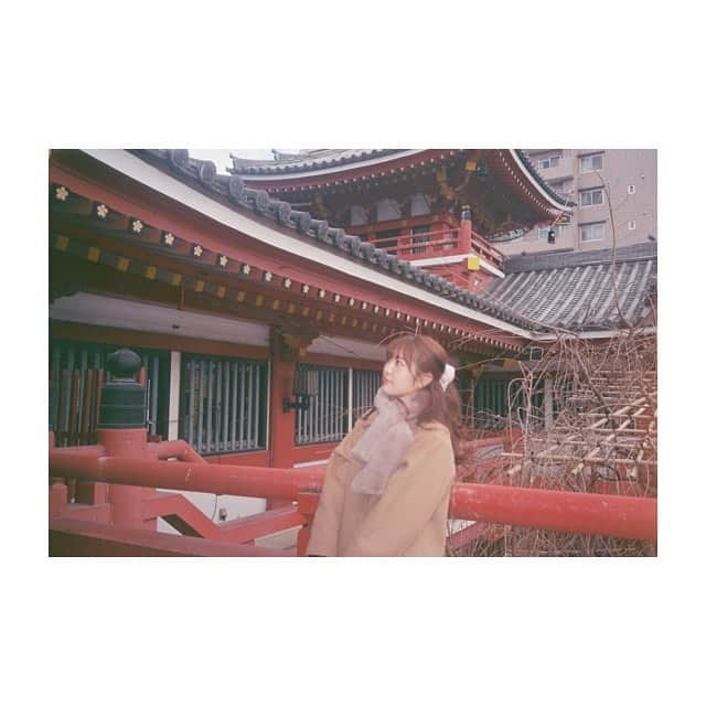 横島亜衿さんのインスタグラム写真 - (横島亜衿Instagram)「film現像したので何枚か🎞 ここに載せてないのも良い写真が沢山あってお気に入り☺️」1月16日 14時52分 - _aeri_yokoshima