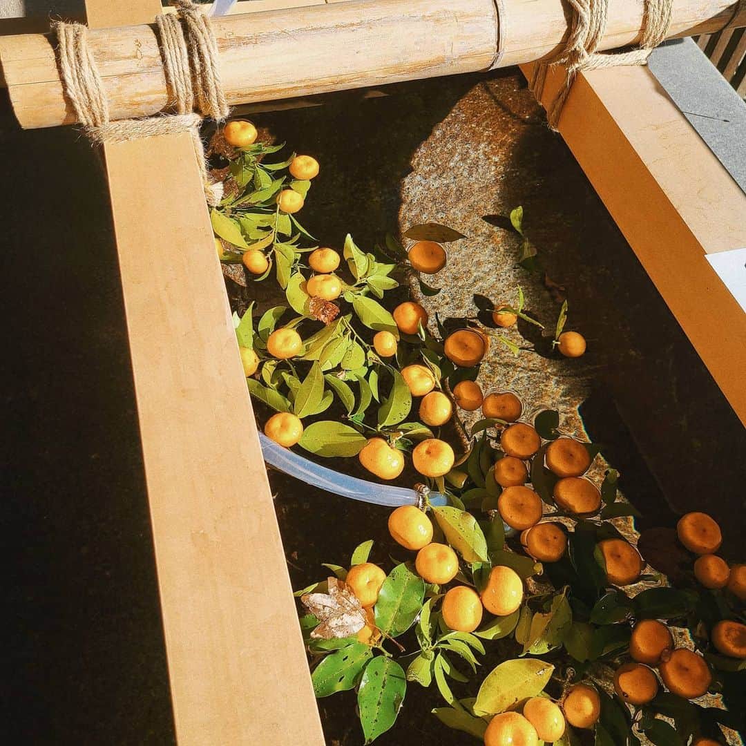 Lisaのインスタグラム：「. 新年行った神社で🍊🍊 . 思わず撮ってしまった🍊 御朱印巡りもまた安心して行けるような世の中に早くなるといいな🥺⛩️  #柚#神社#神社巡り#御朱印#御朱印巡り#御朱印帳#名古屋」