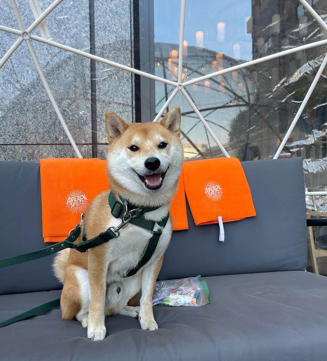 大山加奈のグルメインスタ