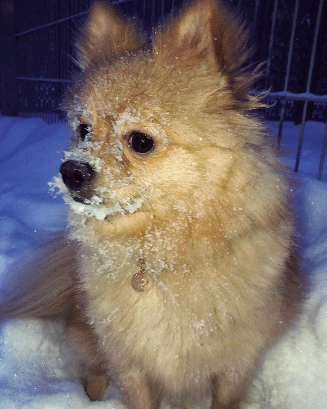 アナスタシヤ・ガルスチャンのインスタグラム：「Russian winter 🥶❄️☃️ p.s.последнее видео очень милое , будьте аккуратны 🙌🏻🥰」