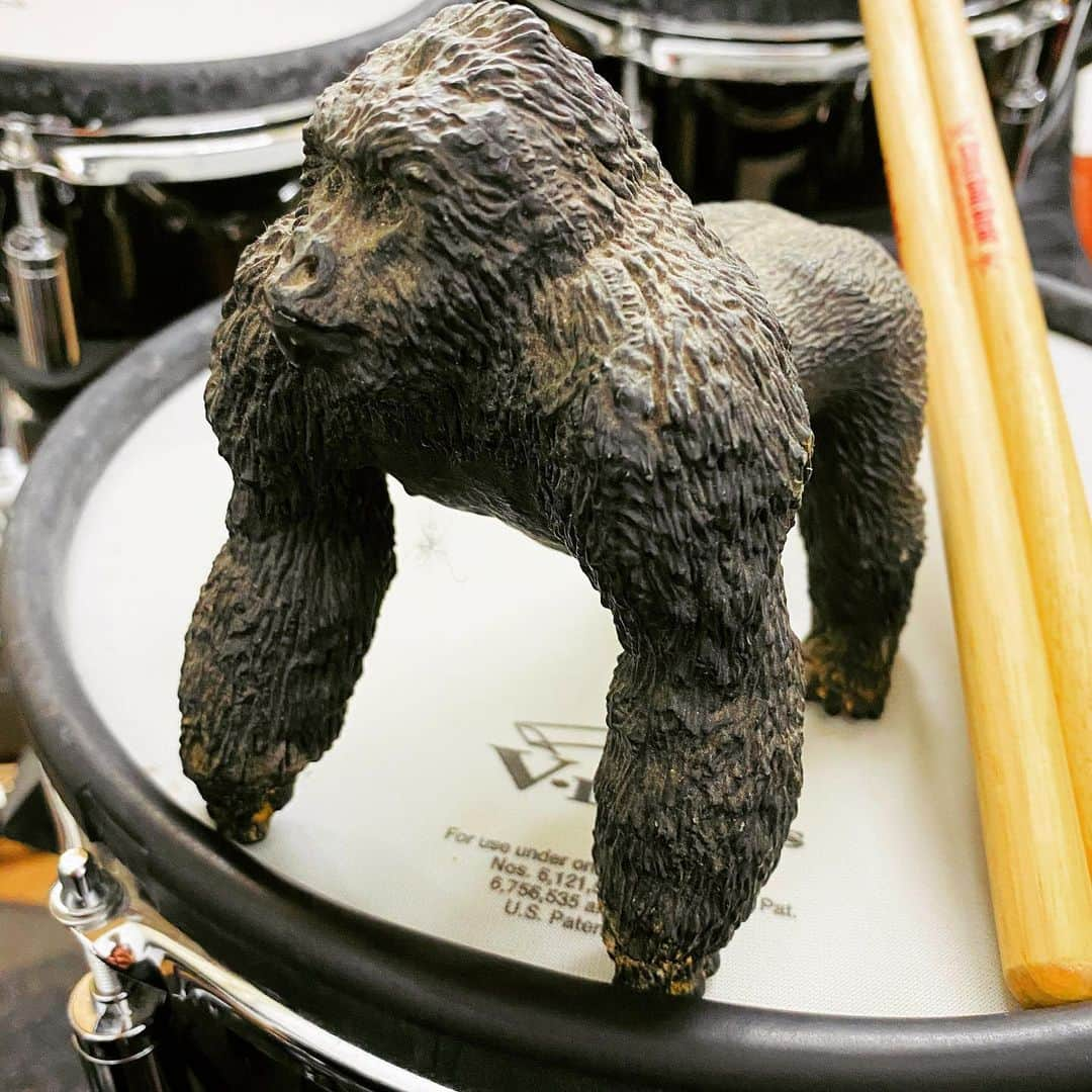 堀之内大介さんのインスタグラム写真 - (堀之内大介Instagram)「🥁🦍」1月16日 15時35分 - horinouchi_bbb