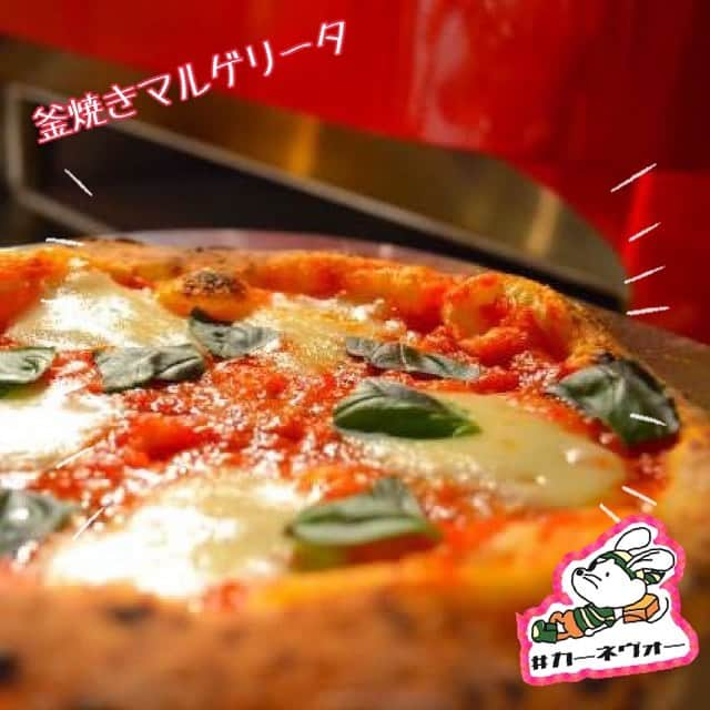 カーネヴォー 茶屋町店のインスタグラム：「当店自慢の釜焼きピッツァ🐭 オーダー頂いてから、手で伸ばしてます！！ こだわってます^ ^  #カーネヴォー#Carnevor#ピザ#ピッツァ#アリゴチーズ#チーズ#おしゃれさんと繋がりたい#バル#肉バル#ランチ#ランチプレート#ブッラータチーズ#ハンバーガー#クリームソーダ#デザートドリンク#ドルチェ#誕生日#ニック君#炭焼きステーキ#ネオ大衆酒場#サングリア#ローストビーフ#ローストビーフ食べ放題#ピザ食べ放題#氷結サワー#フルーツサワー#茶屋町#釜焼きピザ #茶屋町来たならカーネヴォー#茶屋町でチーズを浴びろ！」