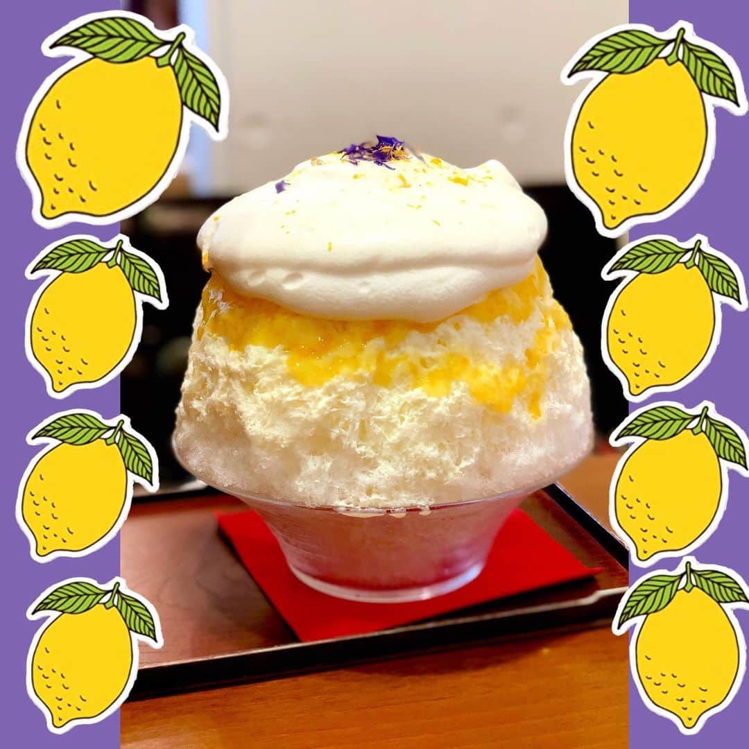 しなしさとこのグルメインスタ