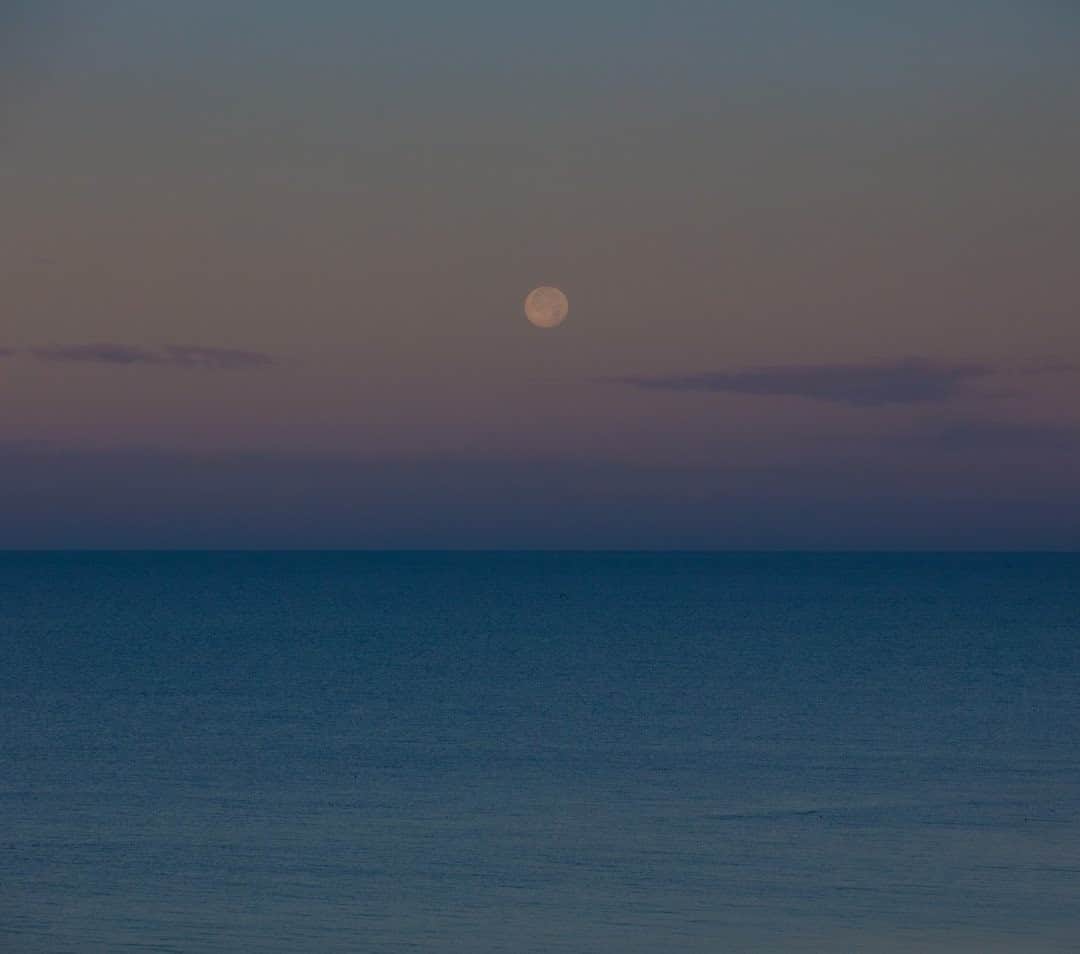 National Geographic Travelさんのインスタグラム写真 - (National Geographic TravelInstagram)「Photo by @joshuacogan / Watching the full moon set in the Gulf of Mexico was a meaningful way to end 2020, a year that challenged, taught, and changed so much. I felt grateful to be able to share the journey with so many of you. I hope that this year will be easier on us and the world. For more images inward and outward, follow me @joshuacogan.」1月16日 16時39分 - natgeotravel