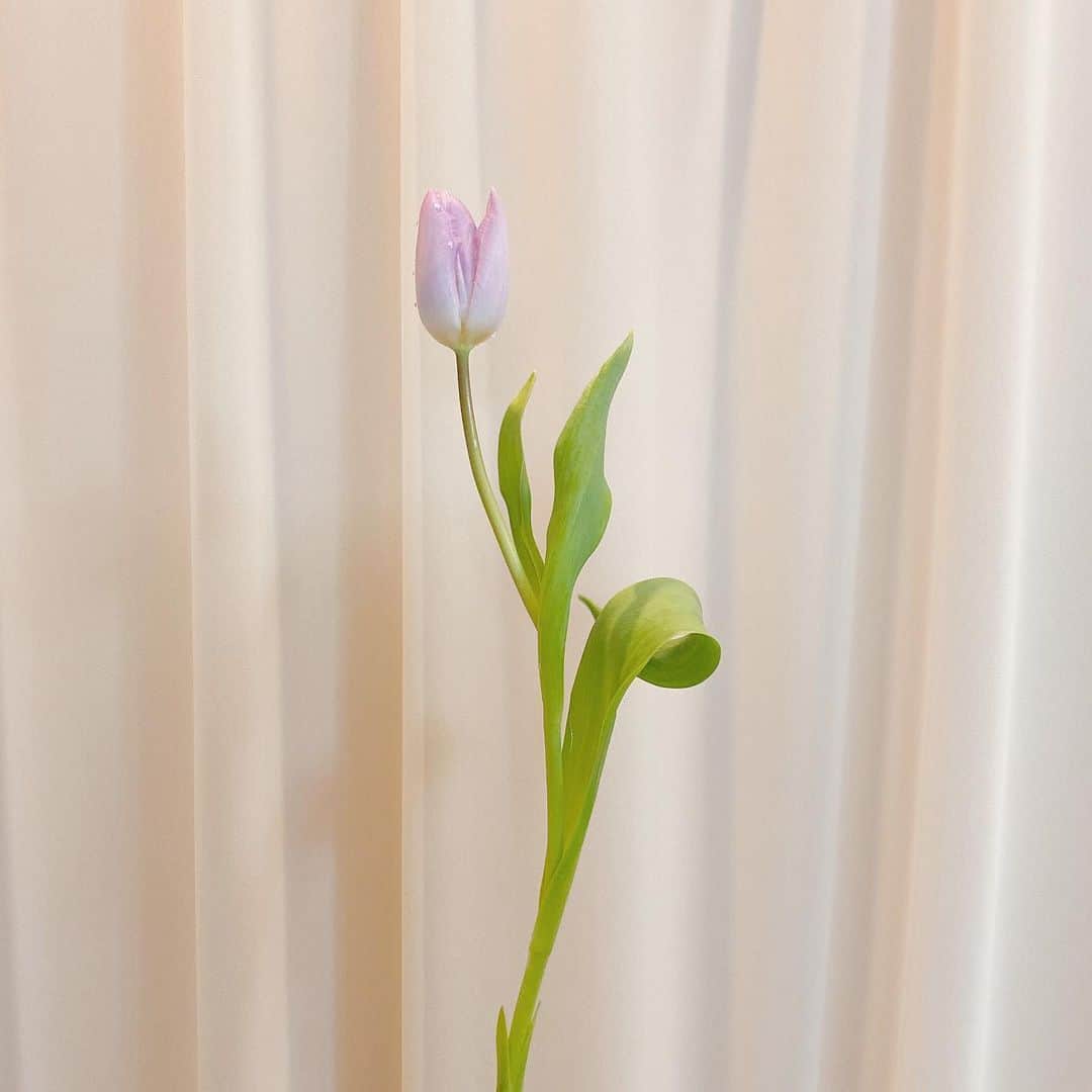 makoのインスタグラム：「🌷🌷🌷」