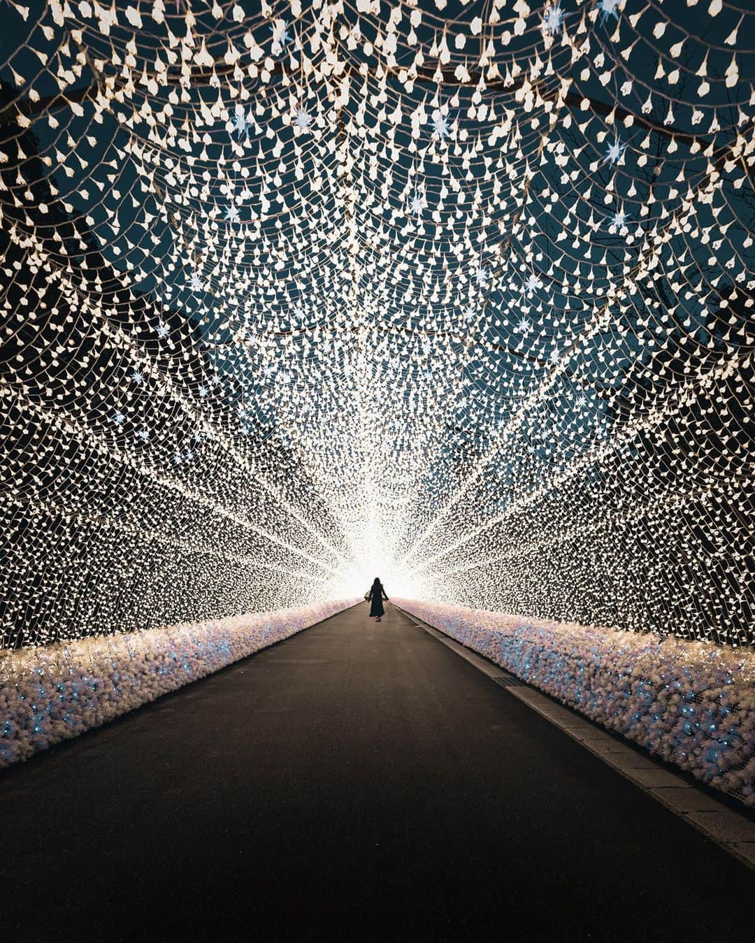 Canon Asiaさんのインスタグラム写真 - (Canon AsiaInstagram)「We love the usage of the hanging lights 💡 and the contrasting black road 🛣  as the leading lines to create a centralised framing and depth to this image.⁣ .⁣ 📷 Image by @ry.0109 using the Canon EOS 5D Mark III • f/3.5 • ISO 160 • 1/40 • 15mm⁣ .⁣ Got a stunning shot you're proud of? Tag them with #canonasia or submit them on My Canon Story, link in bio!⁣ .⁣ #canonasia #photography #explore #lightbulb #streetphotography #osaka #japan #nightphotography  #leadinglines #starburst #composition #canon #lens #inspiration #subject #light」1月16日 17時00分 - canonasia