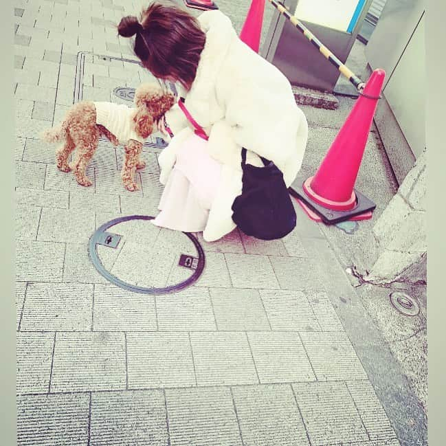 LiLyさんのインスタグラム写真 - (LiLyInstagram)「♡🐶♡  #お散歩date #シンバラブ #素w」1月16日 17時08分 - lilylilylilycom