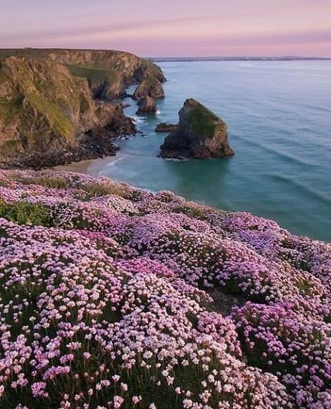 バネッサ・ブリューノさんのインスタグラム写真 - (バネッサ・ブリューノInstagram)「Rêve d’ailleurs enchanté.⁠ ⁠ Dream of beautiful places.⁠ ⁠ #vanessabruno #perspectives #travel⁠」1月16日 18時01分 - vanessabruno