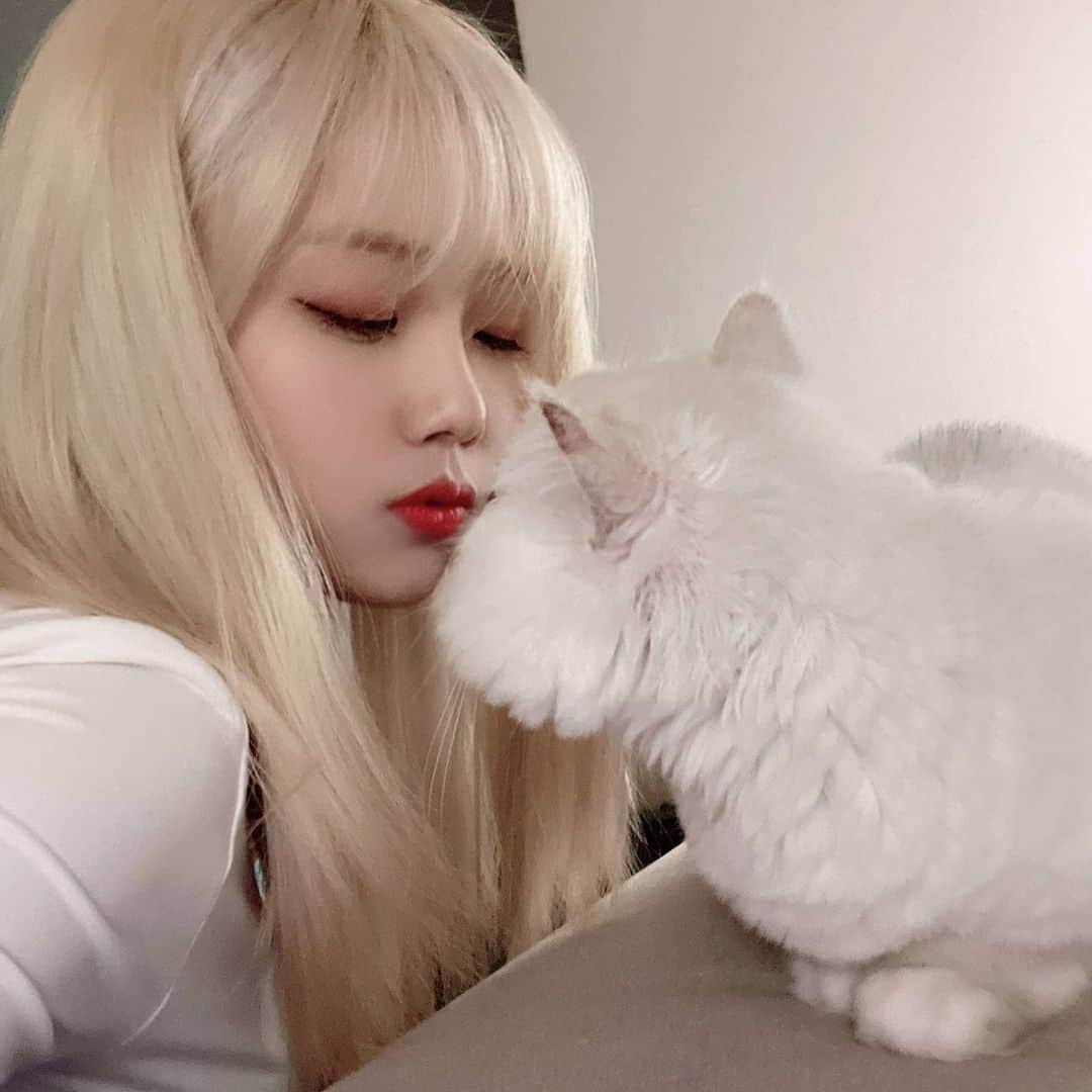 パク・ヘソンさんのインスタグラム写真 - (パク・ヘソンInstagram)「😻❤」1月16日 17時53分 - hyesunee