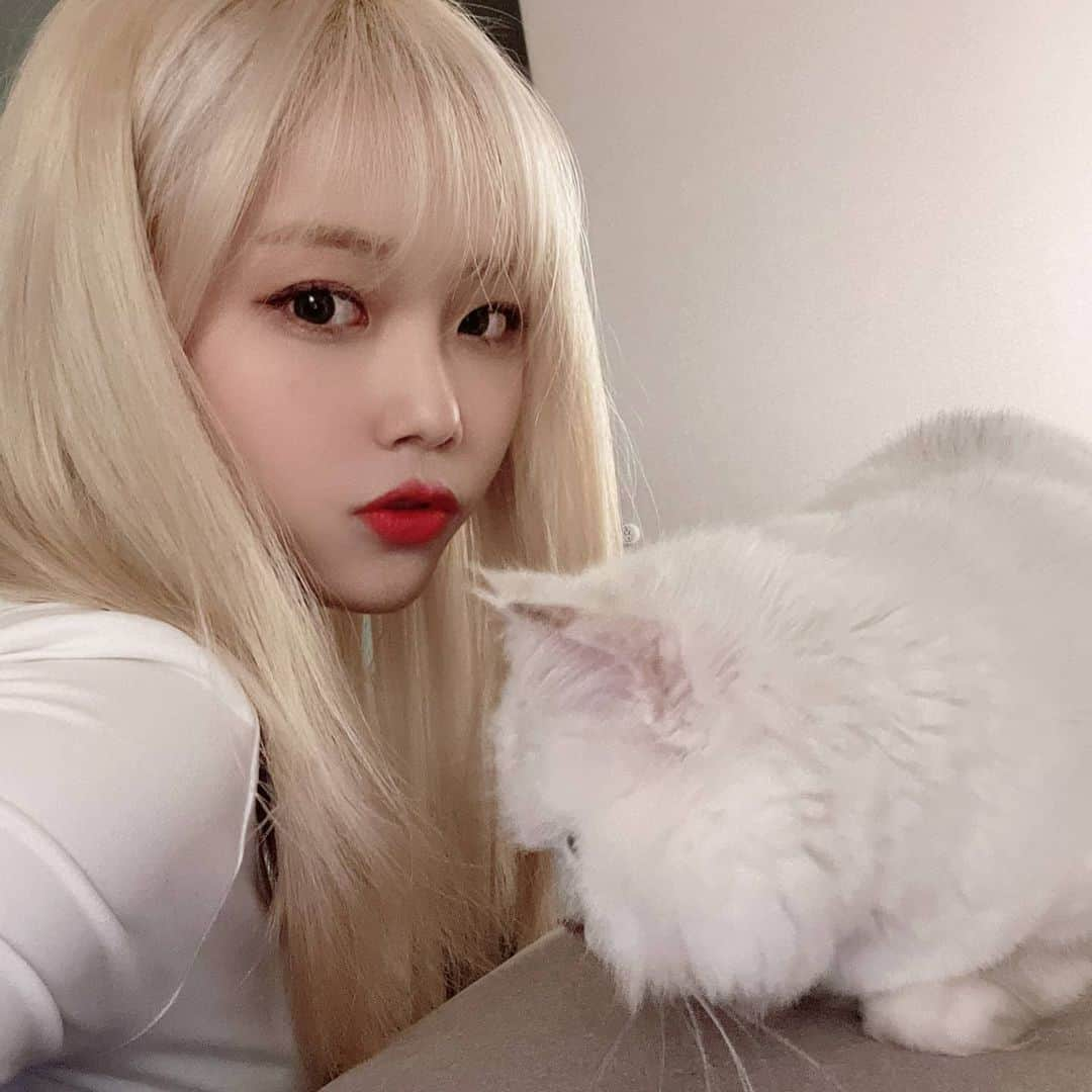 パク・ヘソンさんのインスタグラム写真 - (パク・ヘソンInstagram)「😻❤」1月16日 17時53分 - hyesunee