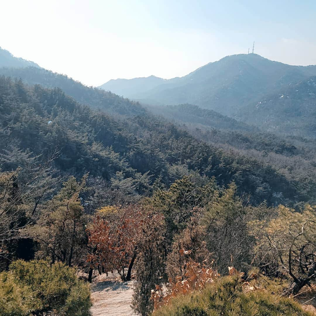 シン・ジエさんのインスタグラム写真 - (シン・ジエInstagram)「그래서 다녀옴 ⛰  #관악산  가볍게 생각하고 갔는데..  정신 번쩍 들게하는 등산코스로 와버렸다. 정상까지 가고 싶었지만 정상근처에 얼음이 많아 위험하다고 말씀해주신 다른분들의 걱정과 조언으로 정상을 코앞에 두고 끝까지는 오르지 못했지만 충분히 산을 즐기고 혹시나 모를 위험에 긴장하며 한걸음한걸음 신중하게 이동하여 모두 무사히 산에서 내려왔다.  곧 다가올 봄 때문일까 많은것들이 쉬고 잠들어있는 겨울산인데 신선함이 느껴졌다. 함께한 멤버들 덕분에 힘들지 않고 즐겁게 다녀왔다. 소중한 시간. 다들 함께해줘서 고마워😊   다음엔 우리 어디갈래??」1月16日 23時27分 - jiyai_shin