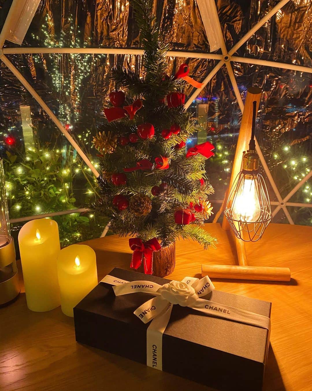 田中里奈さんのインスタグラム写真 - (田中里奈Instagram)「少し前の記憶の記録。  この前のクリスマスは、夢のAndaz Tokyo @andaztokyo のクリスマスイグルーのディナーに🎄 一昨年のクリスマスは知った時点で予約いっぱいでとれなかったから、今回は二度目の正直😂✨  東京タワーも見える52階からの眺めは言うまでもなく最高だったし、ご飯もサービスも素晴らしかったし、ノンアルのジュースまでもべらぼうに美味しかったです（言葉のチョイスよ…） 何より、クリスマスの装飾がわくわくるんるん、おとなげなくテンション上がりまくりのクリスマス好きな私。  憧れのイグルーも体験できて嬉しかった〜！ なんだかイグルー越しに見ると、世の中が100倍きらめいて見える気がしました。 いつか本場北欧のガラス張りのイグルーでオーロラ見れたらいいな〜✨  ほんと、今写真見返しても夢みたいだ…！ そんなステキな魔法にかけられた夜でした。 （あ、映画『魔法にかけられて』の続編やるね！一番好きな映画！本当に楽しみ！！！🧡）  #Xmas #クリスマス #andaztokyo #クリスマスイグルー #たなか旅メモ #魔法にかけられて」1月16日 23時28分 - tanakaofficial