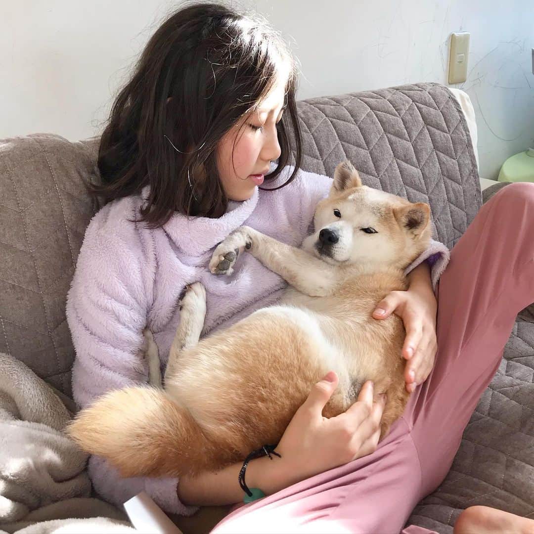柴犬リリコのインスタグラム：「入れてアピールしてますが、そもそも誰も閉めてませんよ🤣」