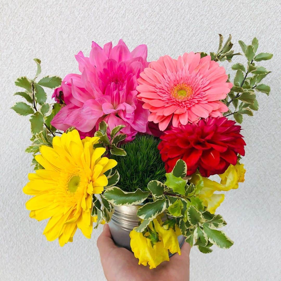 山口託矢のインスタグラム：「綺麗💐 昨日『実感ドドド@福岡』のスタジオに飾られていたお花をNHKさんからいただきました🙇‍♂️ . 華やかなお花もいいけど 僕は真ん中の緑のもふもふが好きです🥺🍃 . . #お花のある暮らし」
