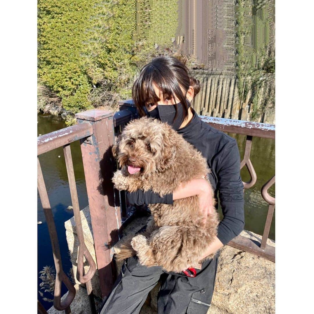 木村心美さんのインスタグラム写真 - (木村心美Instagram)「久しぶりにお散歩に行きました。 太陽に当たると眠くなりますね。 妹に寝るなと言われます。怖いです。嗚呼」1月16日 19時15分 - cocomi_553_official