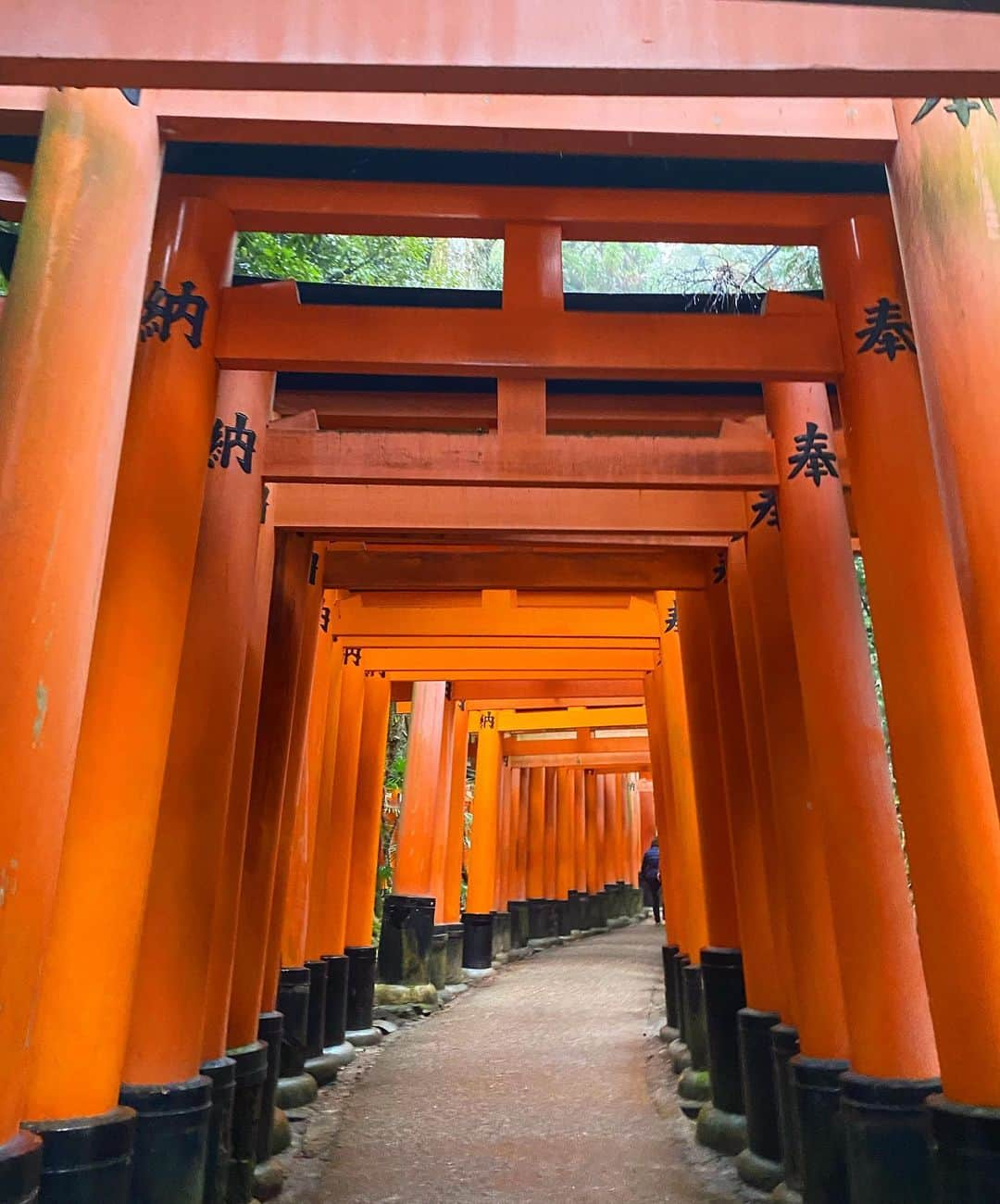 藤野結衣さんのインスタグラム写真 - (藤野結衣Instagram)「⛩⛩⛩⛩ . 伏見稲荷登った時🚶‍♀️✨ たくさん汗かいたな笑💦 . . . 写真撮る時だけマスク外してます🙇‍♀️ . . . #fashion #code #伏見稲荷大社 #伏見稲荷 #稲荷神社 #京都 #murua #zara」1月16日 19時16分 - yui_fujino