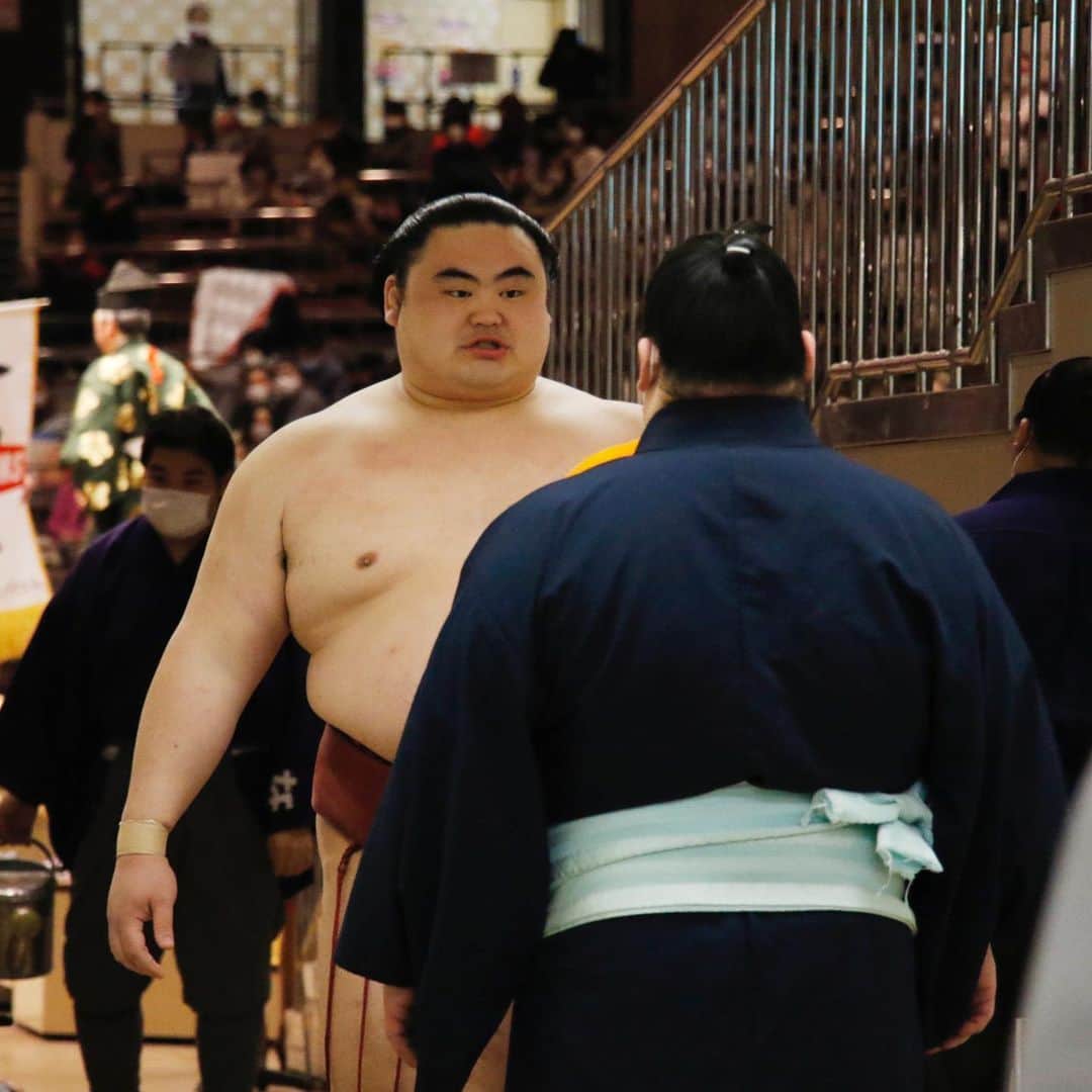 日本相撲協会さんのインスタグラム写真 - (日本相撲協会Instagram)「大相撲一月場所 七日目  7連勝は大栄翔ただ一人。 1敗で正代、明瀬山が追う展開で、八日目を迎えます。  @sumokyokai  #大相撲 #sumo #相撲 #力士 #お相撲さん #japanphoto #sumowrestlers #japanculture  #一月場所 #1月場所 #初場所 #東京 #大栄翔 #照ノ富士 #朝乃山 #隆の勝 #翔猿 #翠富士 #貴景勝 #正代 #塩」1月16日 19時36分 - sumokyokai