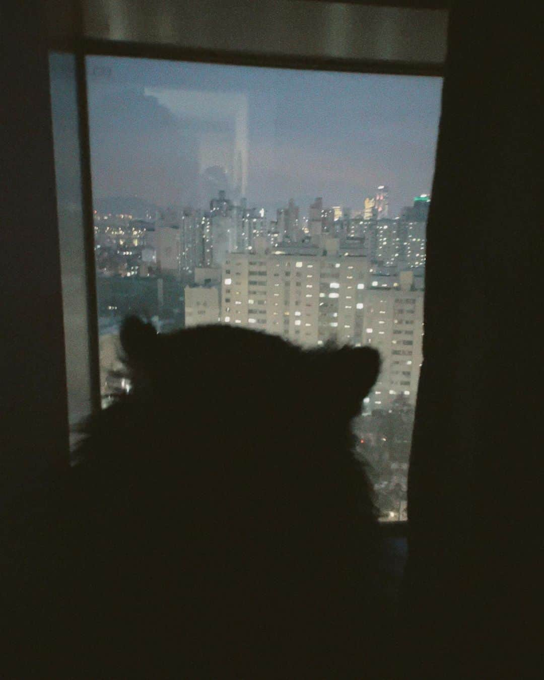 イェソンさんのインスタグラム写真 - (イェソンInstagram)「🌃」1月16日 19時45分 - yesung1106