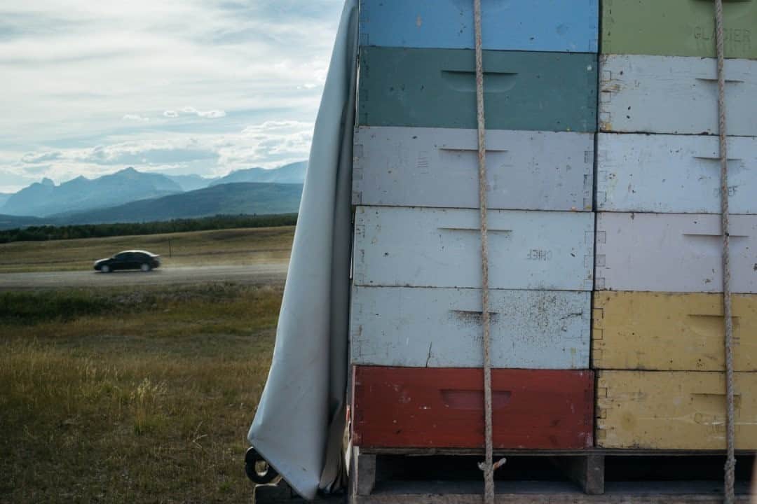 National Geographic Travelさんのインスタグラム写真 - (National Geographic TravelInstagram)「Photo by @steven_gnam / Beehives sit on the back of a truck along Montana’s Rocky Mountain Front. #beekeeping」1月16日 20時38分 - natgeotravel