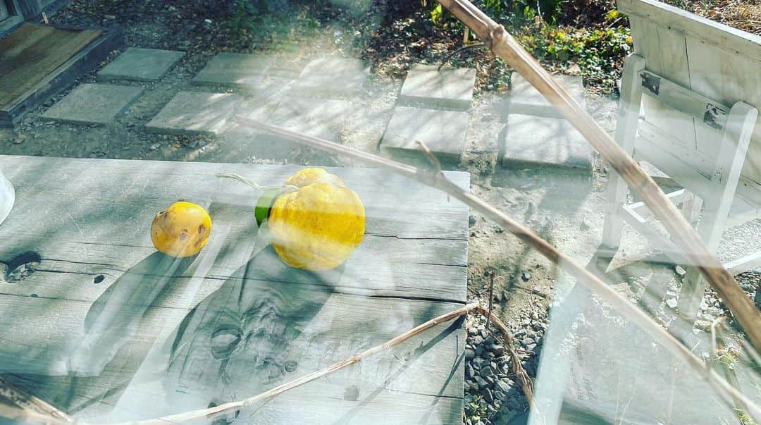 のインスタグラム：「とてもとても素敵な若者が すごくすごく大切な感覚を 伝えてくれます✨  是非 今晩はこちらでお逢いしましょう  『発進！未来クリエイター』 1月16日(土) 夜9時55分〜 テレビ朝日です。  Some very, very beautiful young people will share their incredibly, incredibly precious sensibilities ✨  Let's meet here tonight  "Lift Off! Future Creators" Jan. 16 (Sat.) 9:55 p.m. on TV Asahi  #テレ朝 #サンドウィッチマン  #隈研吾 #宮本亞門 #村木風海 #仁禮彩香 #tvasahi  #sandwichman  #kengokuma  #amonmiyamoto  #murakikazumi #ayakanirei   ジャンプスーツ jumpsuit #emporioarmani ピアス earrings #shihara ブレスレット  bracelet #messika シューズ shoes #sergiorossi」