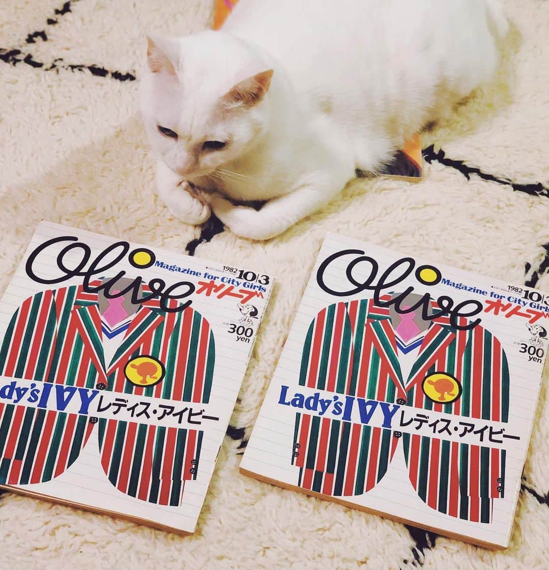 omomuroniのインスタグラム：「ivy と ivy と ivy と  もう持ってるのを忘れて 同じものを買ってしまうクセが直らない。 Oliveだけでも4冊あった。 ていうか眉間のシワよ…  #nuco_ivy #3日と18日はオリーブの日 #オリーブ探訪 #再開します #リクエストあればDMまで」