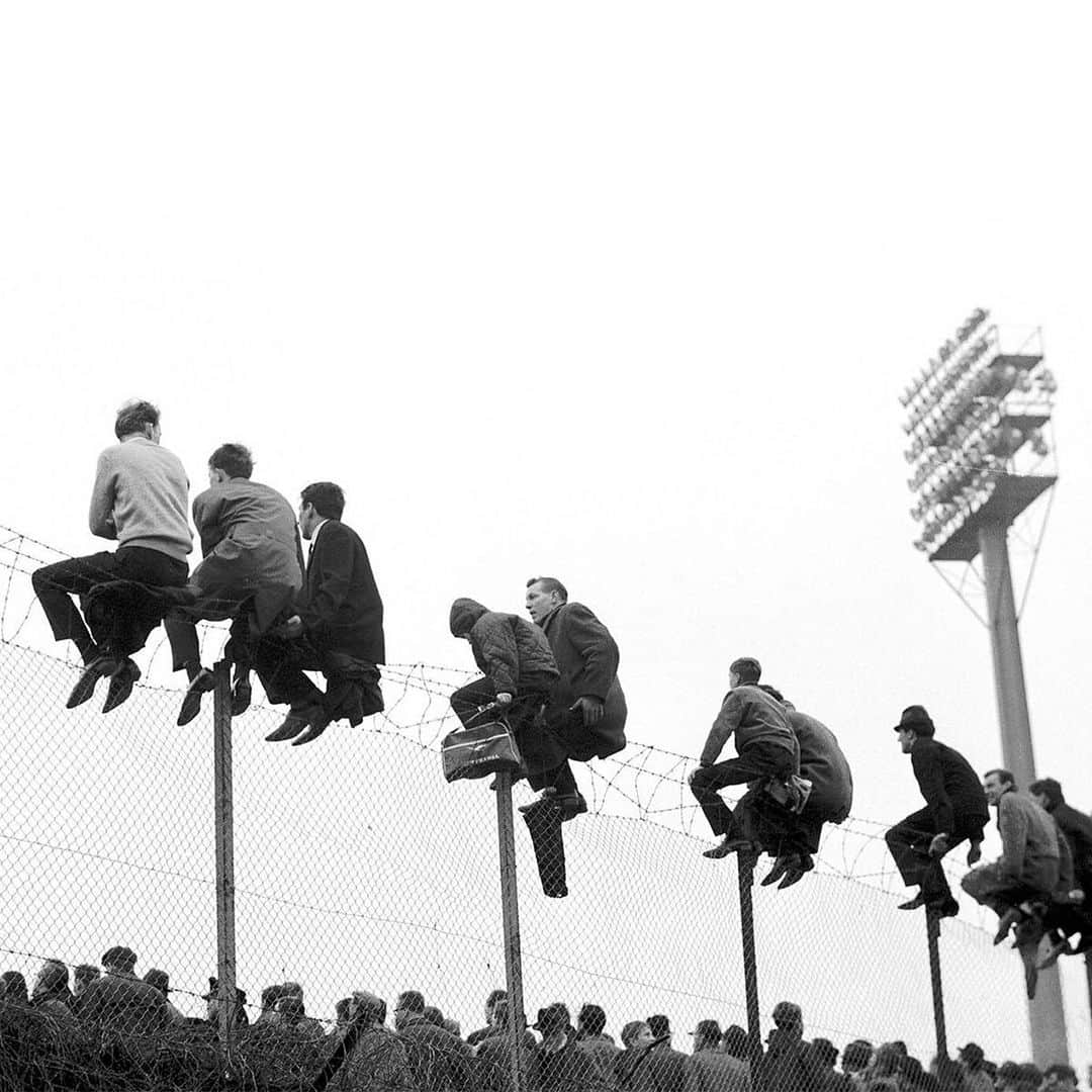 FIFAワールドカップさんのインスタグラム写真 - (FIFAワールドカップInstagram)「Comfortable? Nope. A unique view? Definitely! 😅  Some people will go to extraordinary lengths to watch a game of football! 🏟️👀」1月16日 21時12分 - fifaworldcup