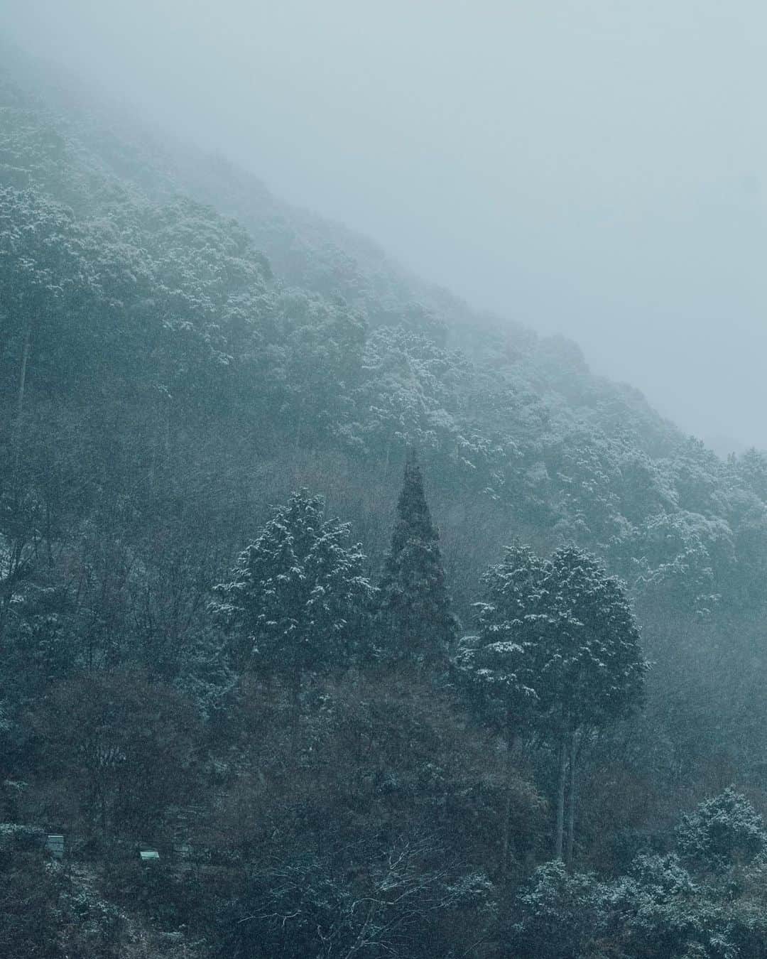清水寺さんのインスタグラム写真 - (清水寺Instagram)「Hon do 本堂」1月16日 21時09分 - feel_kiyomizudera