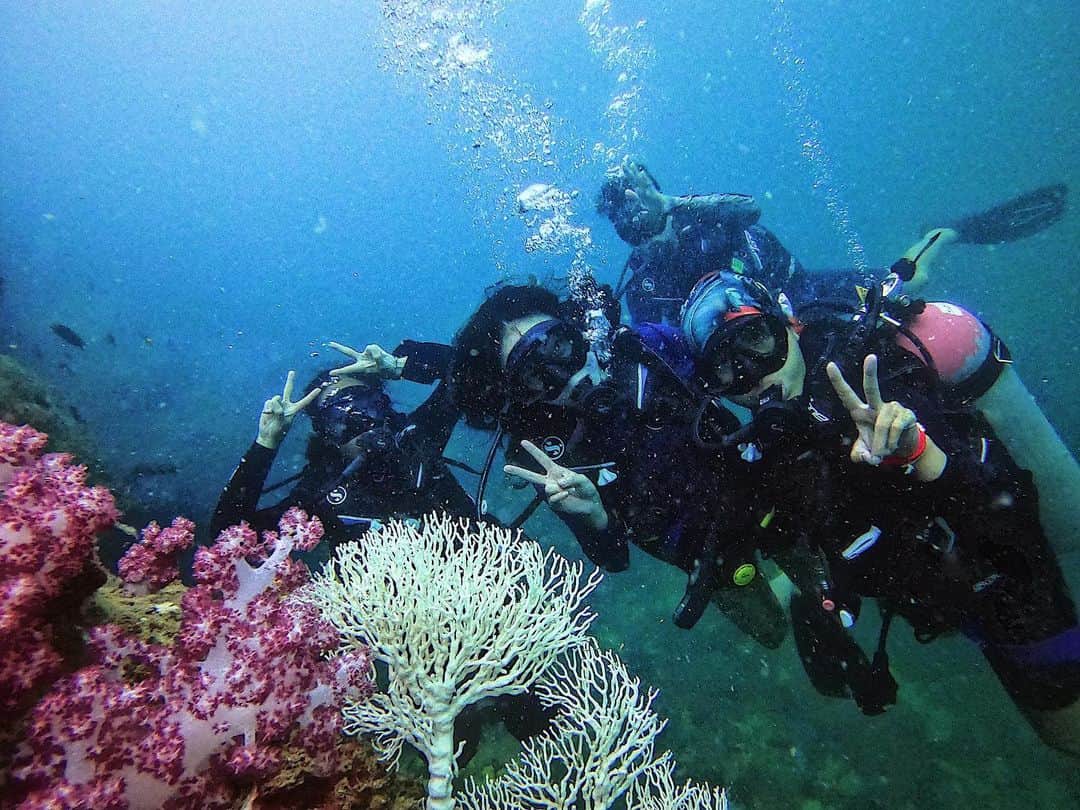 Amata Chittaseneeさんのインスタグラム写真 - (Amata ChittaseneeInstagram)「We dream in colors borrowed from the sea 🐬🐙🐡🐟🦀🐳 #สตูล #หินขาว #pearypieamazingthailand  #reefguardian #saveouroceans #softcorals #coral #diving #scubadiving #satun #thailand」1月16日 21時22分 - pearypie