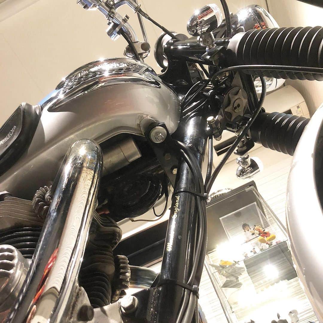KIYOさんのインスタグラム写真 - (KIYOInstagram)「たまには下に潜って点検するよ。 #triumph #t120 #bonneville #bonnie #britbike #britishmotorcycles #classicmotorcycles #lewisleathers #madeinengland #rockers  #caferacer #tonupboys #triumphmotorcycles #vintagetriumph #manga #japanesecomic #fashion #バイクメーン #ボニー #トライアンフ #ボンネビル #ロッカーズ #カフェレーサー #ルイスレザー #ビンテージトライアンフ #ガレージライフ」1月16日 21時19分 - kiriko009