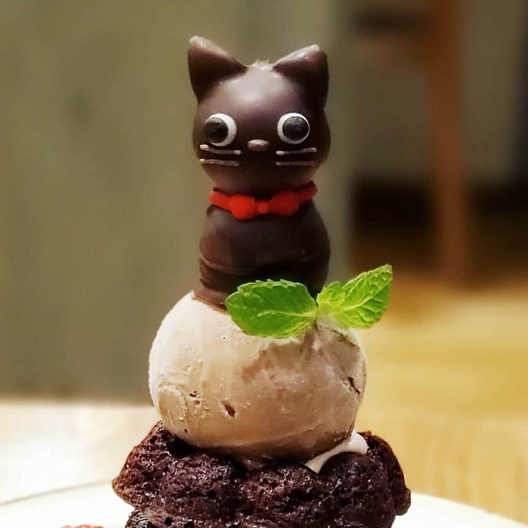ミスター黒猫（黒猫仙人）さんのインスタグラム写真 - (ミスター黒猫（黒猫仙人）Instagram)「へんへんヘンテコ！ 【henteco 森の洋菓子店】 1月16日スタート！期間限定 🐰チョコ輪ケーキ 白うさぎ  かわいい“どうぶつクッキー”が大人気のヘンテコさん 本日から、かわいいスイーツが期間限定で登場してます！  濃厚チョコ輪ケーキのTOPには、チョココーティングされたかわいい“白うさぎ” フレッシュフルーツも散りばめられてウマウマ倍増！ かわいく美味しく大満足にゃー😸  2枚目の黒猫は、特別に作成して頂いたので通常販売はありません  ⚠詳しくはハイライト｢散歩の達人｣のリンクを  🚶東京都目黒区碑文谷4-15-17 東急東横線都立大学駅・学芸大学駅から徒歩12分 営業日、営業時間などはお店のSNSを @henteco_mori  #黒猫食べ過ぎ #うさぎ #ヘンテコ森の洋菓子店 #henteco森の洋菓子店」1月16日 21時38分 - mr_kuroneko