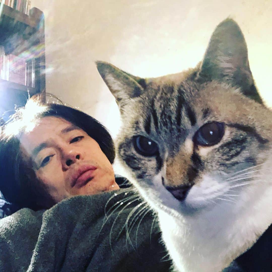 町田康のインスタグラム：「ほんまやなあ。」