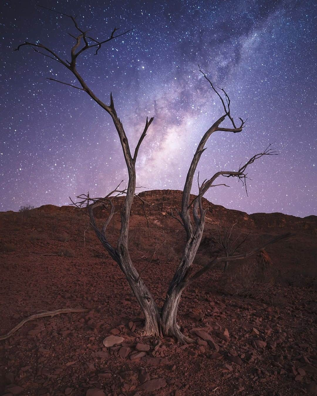 Nikon Australiaさんのインスタグラム写真 - (Nikon AustraliaInstagram)「"I had visited Mt Chambers, in the Flinders Ranges years ago and thought recently after getting my Z 6, it would be a great location for an astro shoot. The road to get there I believe, is one of the worst in Australia, with mountainous washboard corrugations, and sharp fist-sized rocks littering the road. The 70 odd kms of dirt road took well over 3 hours to navigate. But it was well worth it in the end, with spectacular scenery and perfect clear conditions for astrophotography.   This scene here is a blend of two exposures. The foreground was lit by a 10% waxing crescent moon, giving off just enough light to allow me to lower the ISO and to use a smaller aperture for greater depth of field. The stars were shot at a much higher ISO, and shorter shutter speed.   I am constantly amazed at the Z 6's performance at high ISO. Having only recently retired my trusty old D200, the difference is more than profound. The Z 6 at ISO 6400 has less noise than the D200 at ISO 1000!" - @photographybylaszlo   Camera: Nikon Z 6 Lens: NIKKOR Z 24-70mm f/4 S Settings: Foreground: f/5.6  bulb 245s  ISO 1000  Sky:  f/4  25s  ISO 5000   #Nikon #MyNikonLife #NikonAustralia #NikonZ6 #ZSeriesAU #Astrophotography #AstroLovers #Nightscape #MilkyWayChasers」1月17日 8時01分 - nikonaustralia