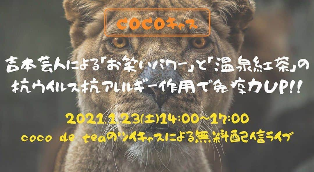 あつひろのインスタグラム：「1月23日（土）14時から #cocoキャス #無料配信ライブ 吉本芸人による「お笑いパワー」と「温泉紅茶」の抗ウイルス抗アレルギー作用で免疫力UP！  吉本芸人達が吠える！？  【coco キャス】 こちらからご覧ください！ twitcasting.tv/cocodetea1  こんな時期だからこそ、お笑いで免疫力アップ！！ 5人の吉本芸人がネタ、特技、好きな事を披露。5人での朗読ライブも！  1月23日、土曜日の午後、ご家族揃ってお楽しみください♪ ツイキャスによる無料配信！！ coco キャス twitcasting.tv/cocodetea1  #あつひろ #寺門真吾 #和田あいでぃーる #ゴスケ #白珠イチゴ #吉本 #芸人  #声優 #ナレーター  #占い師  #cocodetea #大塚駅 #温泉紅茶 #Cafe #カフェ #免疫力アップ」