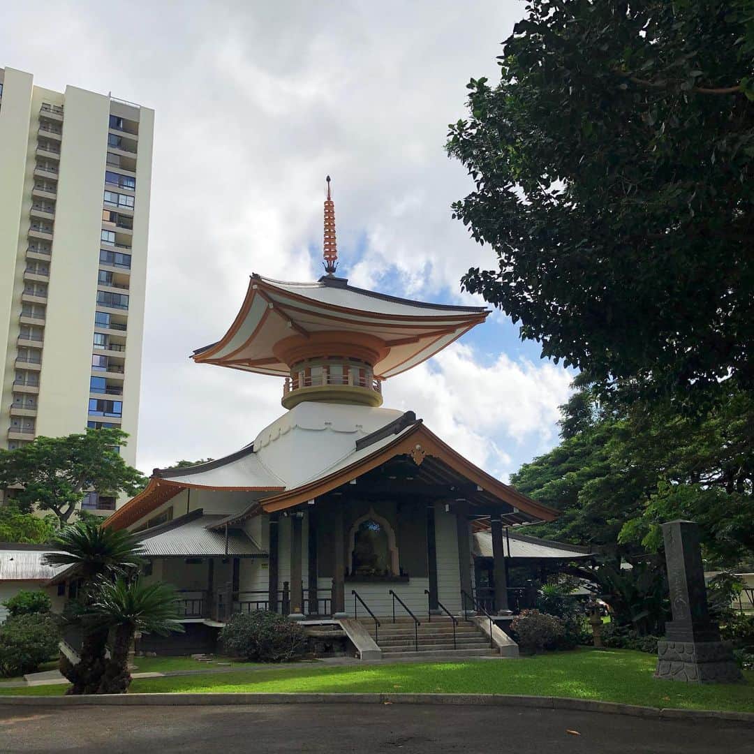 Honolulu Myohoji Missionさんのインスタグラム写真 - (Honolulu Myohoji MissionInstagram)「🙏🏼  The Zoom Shodai Shugyo class is ongoing in 2021!  Shodai meditation class is for Japanese and English speakers and it’s held on every Saturdays at 10:00am - 11:00am.  Those who wish to attend, please send an email at info@honolulumyohoji.org  Let us know if you would like to join for next week!  ————————- 📺  Honolulu Myohoji YouTube channel is available now!  On our YouTube channel, you can see - Rev. Yamamura’s talk, - Past events of Honolulu Myohoji, and - Some nice Hawaii weather from Honolulu Myohoji.  🪄 Dr. Yukari’s listening lounge is here for you!  - Stories are twice a week on our blog, Facebook and Instagram. ————————- * * * * #ハワイ #ハワイ好きな人と繋がりたい  #ハワイだいすき #ハワイ好き #ハワイに恋して #ハワイ大好き #ハワイ生活 #ハワイ行きたい #ハワイ暮らし #オアフ島 #ホノルル妙法寺 #思い出　#honolulumyohoji #honolulumyohojimission #御朱印女子 #開運 #穴場 #パワースポット #hawaii #hawaiilife #hawaiian #luckywelivehawaii #hawaiiliving #hawaiistyle #hawaiivacation」1月17日 8時29分 - honolulumyohoji