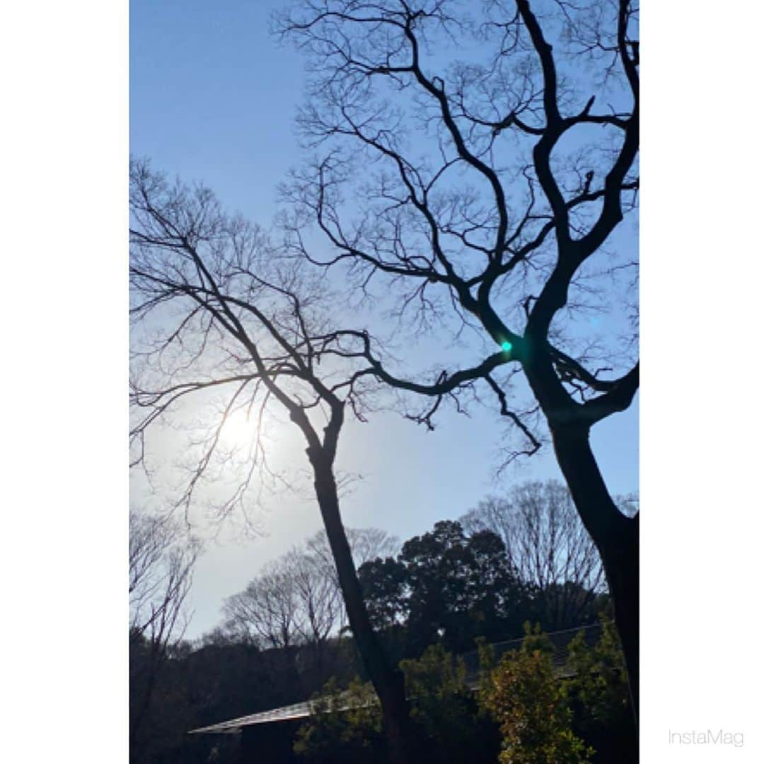 推川ゆうりさんのインスタグラム写真 - (推川ゆうりInstagram)「何事も継続...」1月16日 23時41分 - oshikawa0613y