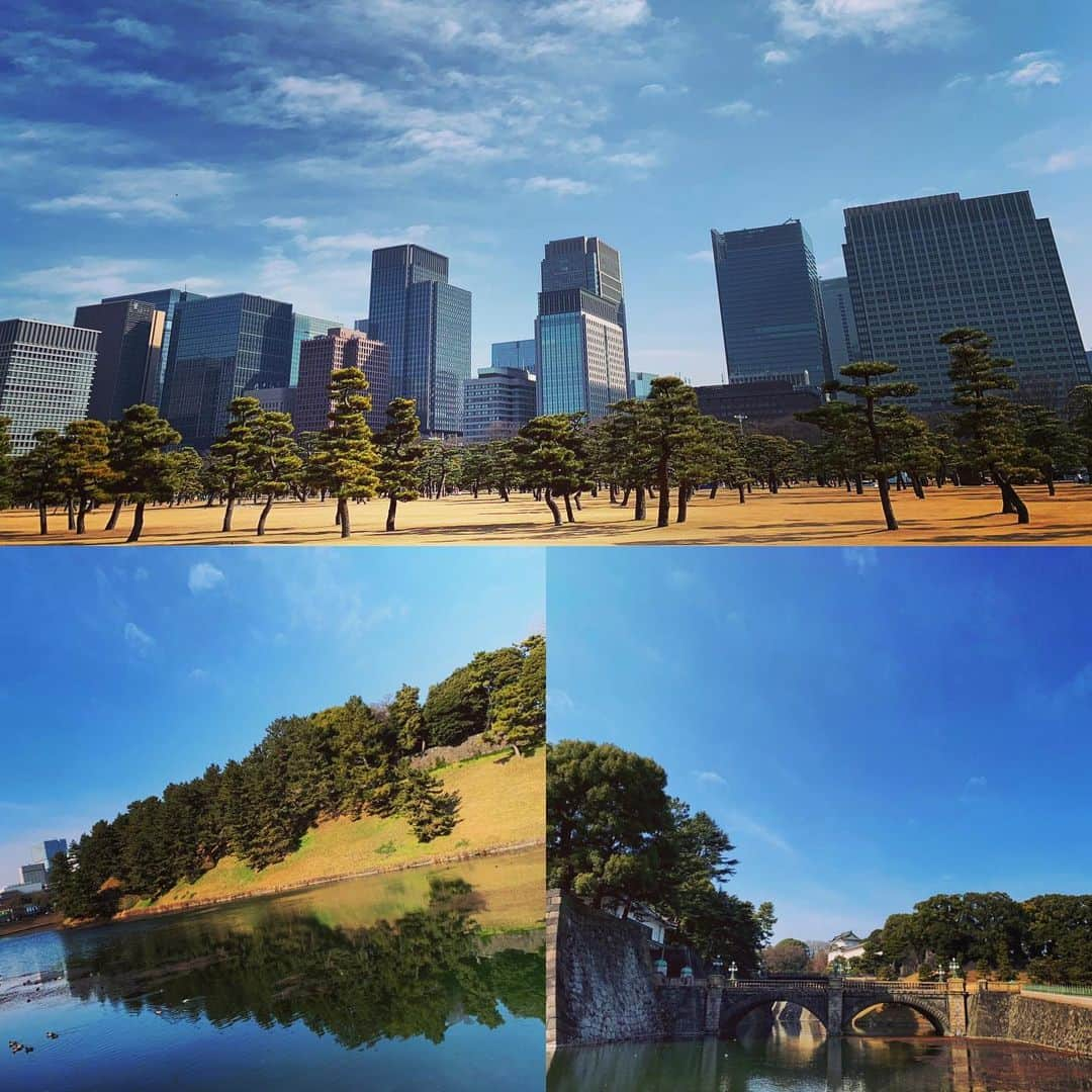 有森裕子さんのインスタグラム写真 - (有森裕子Instagram)「ひとり歩き　での風景。」1月16日 23時40分 - arimori.yuko33