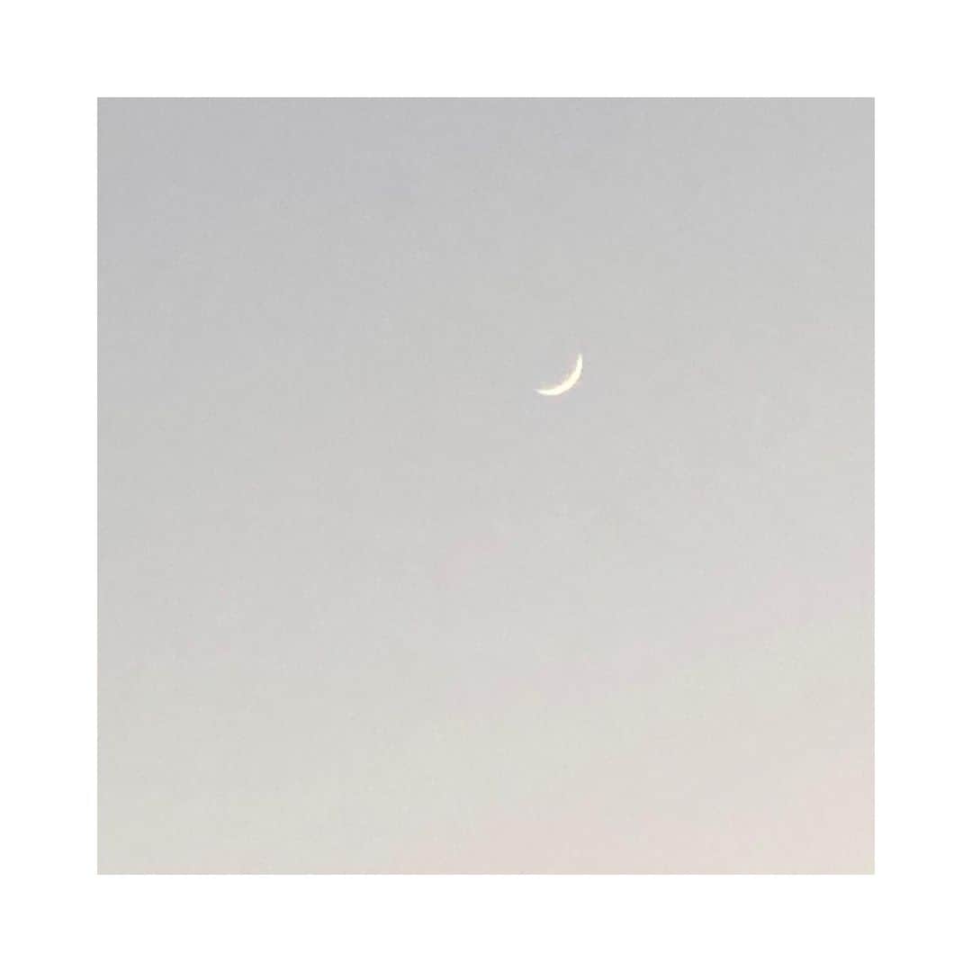 梅津弥英子さんのインスタグラム写真 - (梅津弥英子Instagram)「☻ 穏やかな陽の光にホッとした今日の夕暮れ。外に出たらまだ明るい空に三日月が浮かんでいた。好きだなぁ。こんなに鋭利で華奢なのに儚げでやさしい印象を残すフォルム。 #太陽か月かと言われたら私は月を選ぶかも #しばしぼんやりながめた そうそう。明日のオンエアに向けてオンラインで打ち合わせをしている私に、娘が笑いながら携帯を向けてきた。 #テレワークあるあるかな #下半身は部屋着 #だってあったかいんだもん #ものぐさなもので  子どもたちの晩ごはんはチキンカツを揚げた。カツ丼かソースカツ丼か迷って、結局こちらに。 #打ち合わせが終わったらカツは売り切れていた #おいしいならそれでいいのだ  #おやすみなさい #またあした #カツで思い出した #いまさらですが #受験生に幸あれ」1月16日 23時49分 - yaeko.umezu