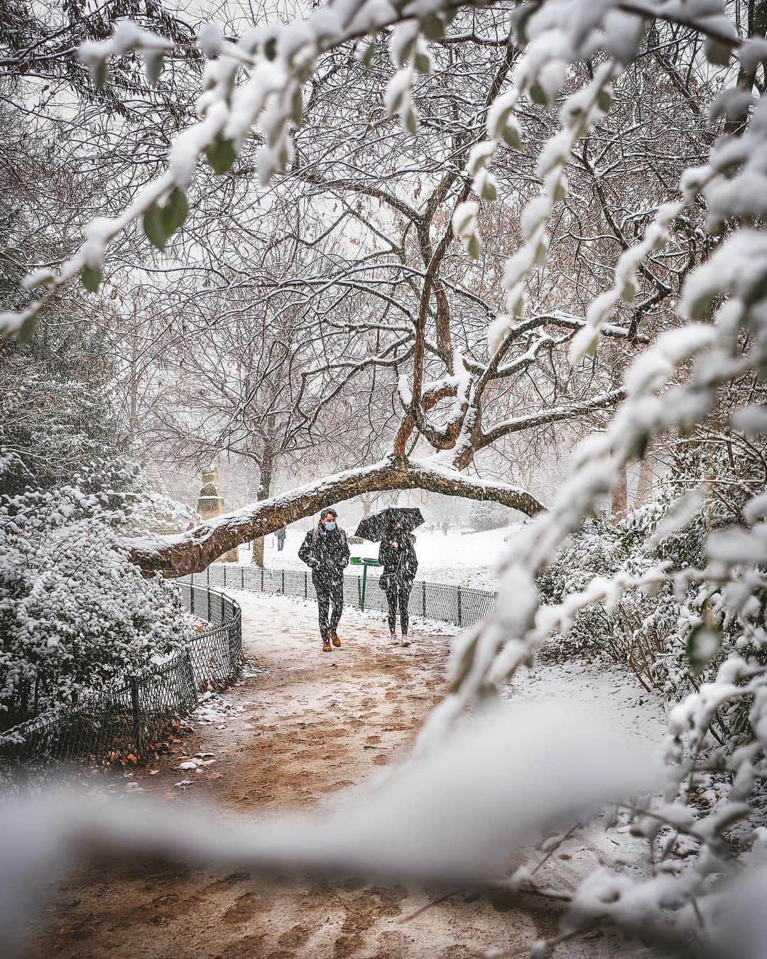 のインスタグラム：「PARIS UNDER THE SNOW ☃️ . Petite balade ce matin au Parc Monceau, je vous laisse découvrir ce beau jardin sous la neige ❄️ Bon week-end 💛 . Little walk this morning at Parc Monceau, I let you discover this beautiful garden under the snow ❄️ Have a good weekend 💛」