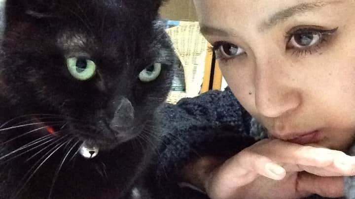 荒井奈緒美さんのインスタグラム写真 - (荒井奈緒美Instagram)「我が家の最愛の家族が旅立ちました。  13年前 炎天下の中暑いコンクリートの上で何時間もずっとひとりぼっちで鳴いていて。  お友達が助けてくれて 一時預かりしていたのだけど、可愛いすぎたあなたはすぐにうちの家族に。  お腹に虫もいて、栄養失調と脱水症状で危なかったのだけど、元気を取り戻して私の腕の中で必死にミルクを飲んでいたのが昨日のよう。  それからはとっても元気で気まぐれで。 私達のお腹というより首に座って寝るから顔をつけて寝ていたね。 時にはお尻を顔に近づけるから尻尾で何度も起きたよ。笑  思い出がいっぱいですね。。  子供達にも嫌そうだったけど、撫でさせてあげたり、泣いているとあなたも鳴いてお知らせしてくれたりしたね。 ろくちゃんも受け入れてくれて、大変な思いもしたね。笑  13年間ありがとう。 ちゅらちゃんはたくさん色々なことを教えてくれました。  限りある命と言うものを娘達にも教えてくれてありがとう。  また会える日まで待っててね❤︎  #最愛のあなたへ #ちゅら#ありがとう #また会う日まで」1月17日 0時48分 - naomi__arai