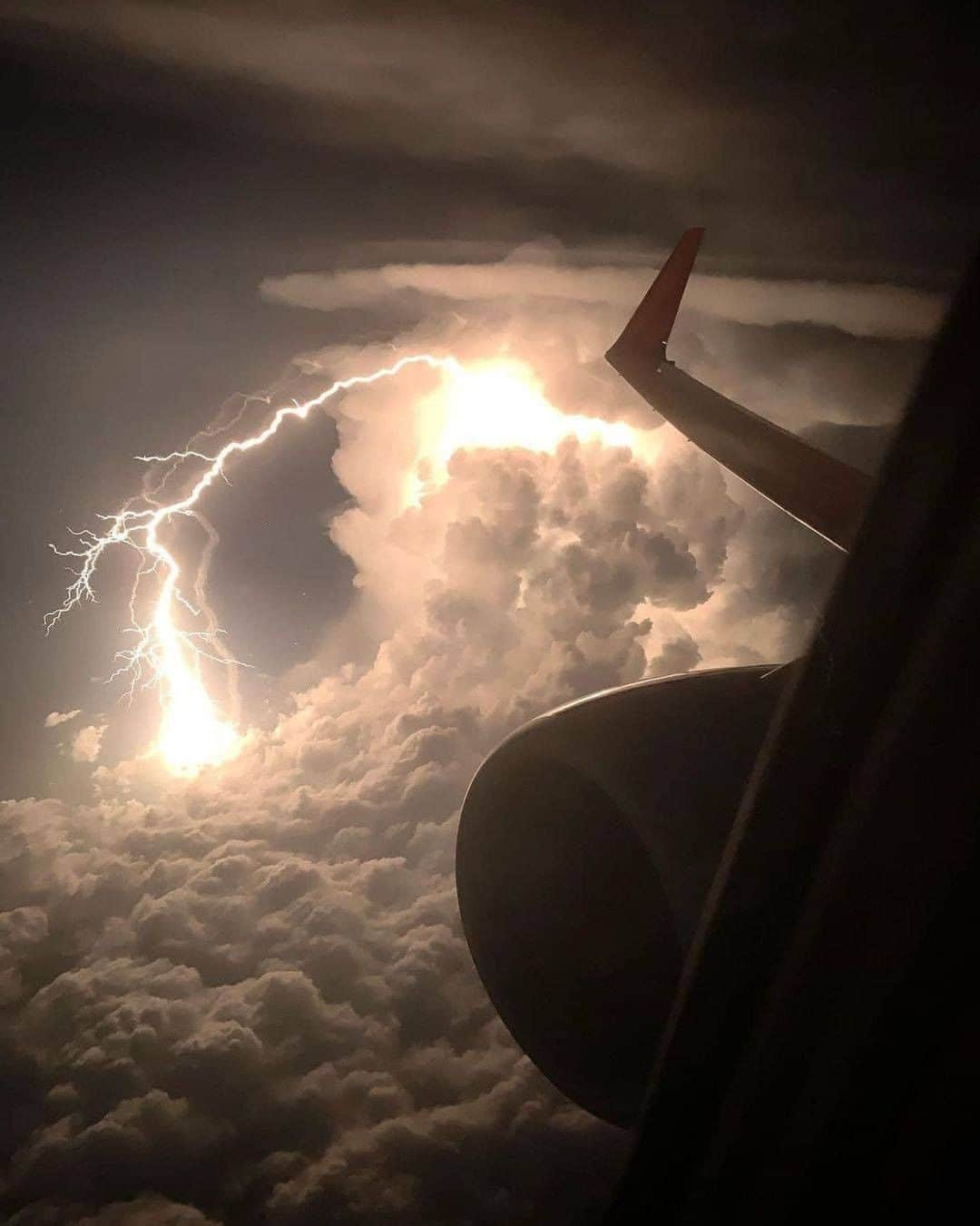 Discover Earthさんのインスタグラム写真 - (Discover EarthInstagram)「The cumulonimbus is a dense, towering vertical cloud, forming from water vapor carried by powerful upward air currents. If observed during a storm, these clouds may be referred to as thunderheads. Real photo of positive lightning from top of an anvil cumulonimbus cloud! How would you react if you saw lightning strike that close while you were flying? ⚡ #discoverlightning with @jsabbb24  . . . .  #lightning  #thunderstorm  #thunder  #storm  #storms  #lightningstorm  #lightningbolt  #lightningstrike  #stormy  #stormclouds  #rain  #weather  #monsoon」1月17日 1時00分 - discoverearth