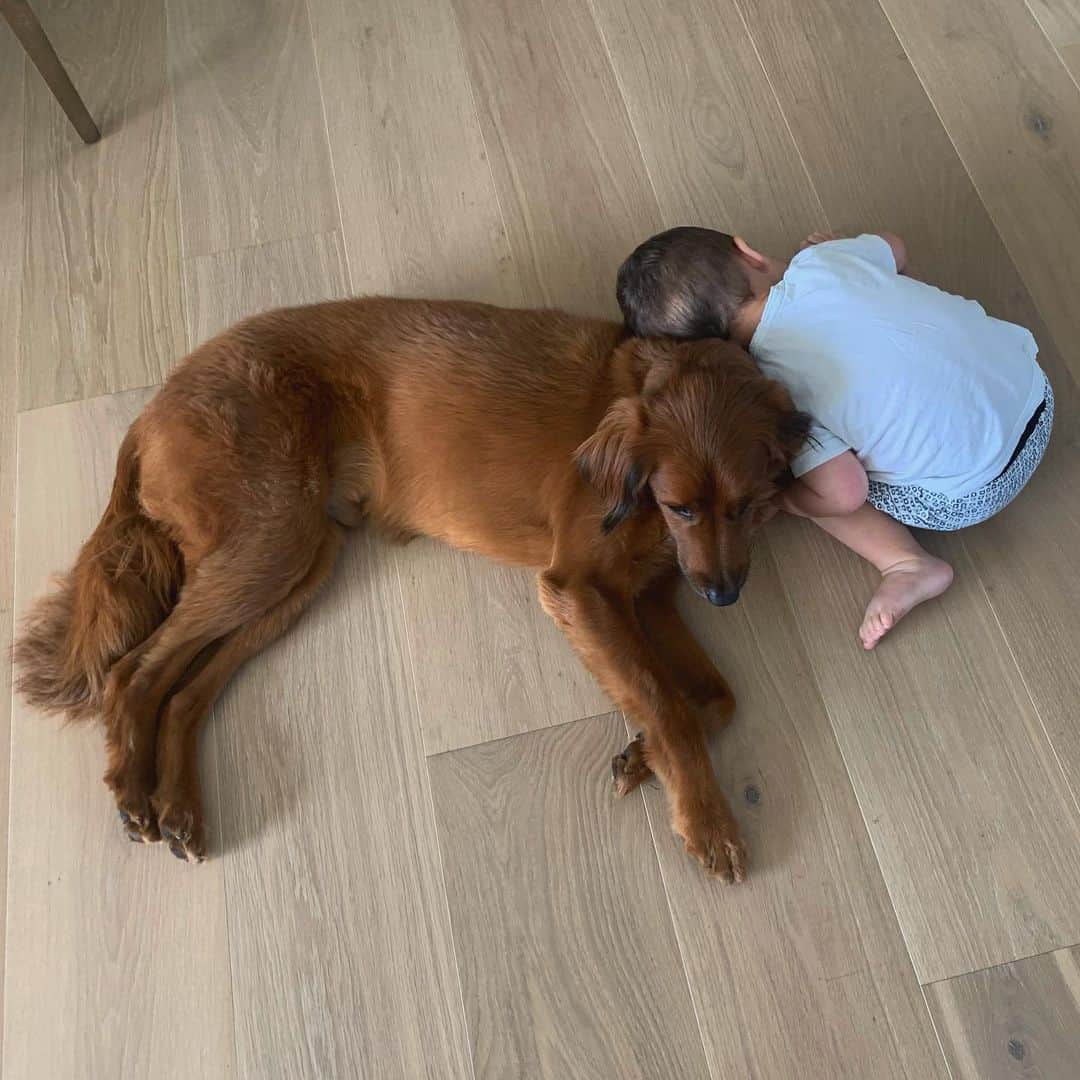 クレア・ホルトのインスタグラム：「Best buds 😭」