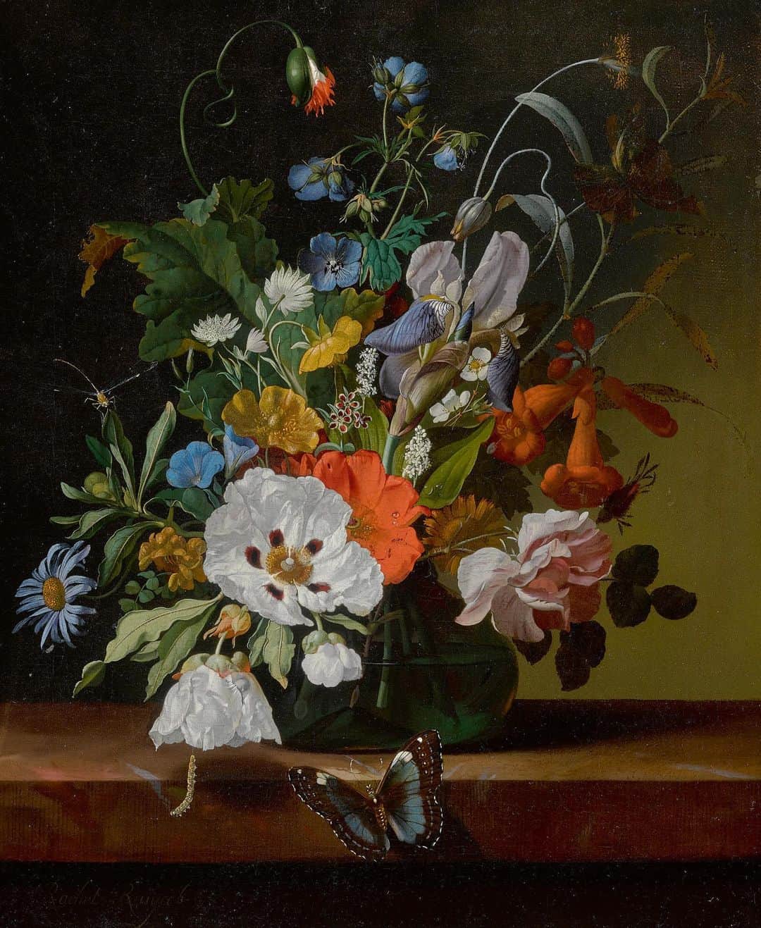 サザビーズさんのインスタグラム写真 - (サザビーズInstagram)「Brilliance in Bloom 💐    Rachel Ruysch is widely regarded as one of the most successful still-life artists of the Dutch Golden Age and was the first female Netherlandish artist to win international recognition. Painted in 1698, relatively early in the artist’s career, this exquisite still life featuring a bouquet of poppies, marigolds, daisies, irises, and forget-me-nots, showcases Ruysch's intimate knowledge of the genre, which she started at the tender age of fifteen. Experience its beauty in person when our Masters Week exhibitions open to the public, by appointment on 23 January Click the link in bio to learn more about this work and to make your appointment! #SothebysMasters #RachelRuysch #stillife」1月17日 1時31分 - sothebys