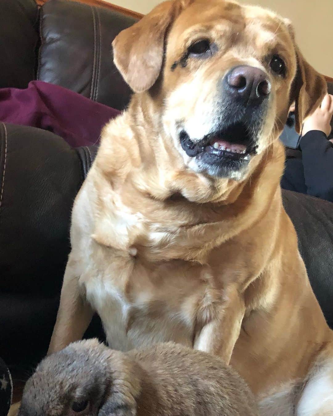 Jake And Gingerのインスタグラム