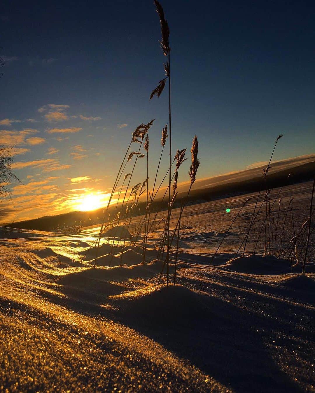 ソフィア・ヤコブソンさんのインスタグラム写真 - (ソフィア・ヤコブソンInstagram)「Northern Sweden you are a beauty right now! 🌅  #sunset #northernsweden #wintertime @fellasjoberg 📷」1月17日 3時12分 - sofiajakobsson