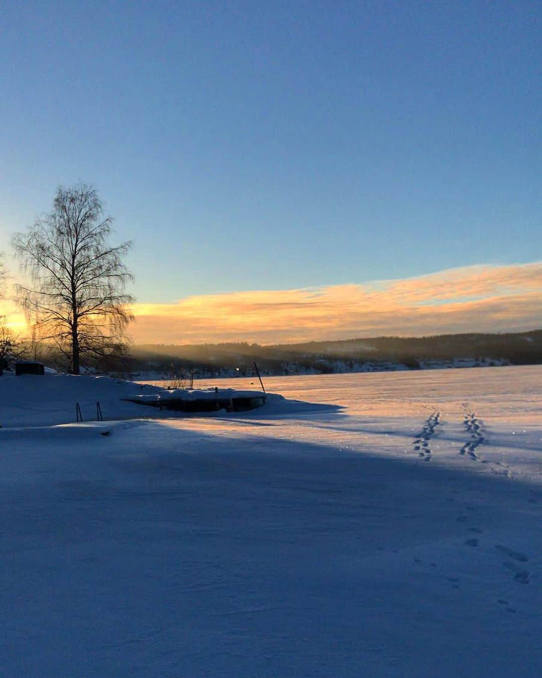 ソフィア・ヤコブソンさんのインスタグラム写真 - (ソフィア・ヤコブソンInstagram)「Northern Sweden you are a beauty right now! 🌅  #sunset #northernsweden #wintertime @fellasjoberg 📷」1月17日 3時12分 - sofiajakobsson