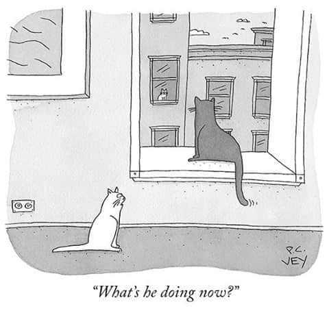 The New Yorkerさんのインスタグラム写真 - (The New YorkerInstagram)「Quarantine activities. #NewYorkerCartoons 🖋 P. C. Vey」1月17日 3時10分 - newyorkermag