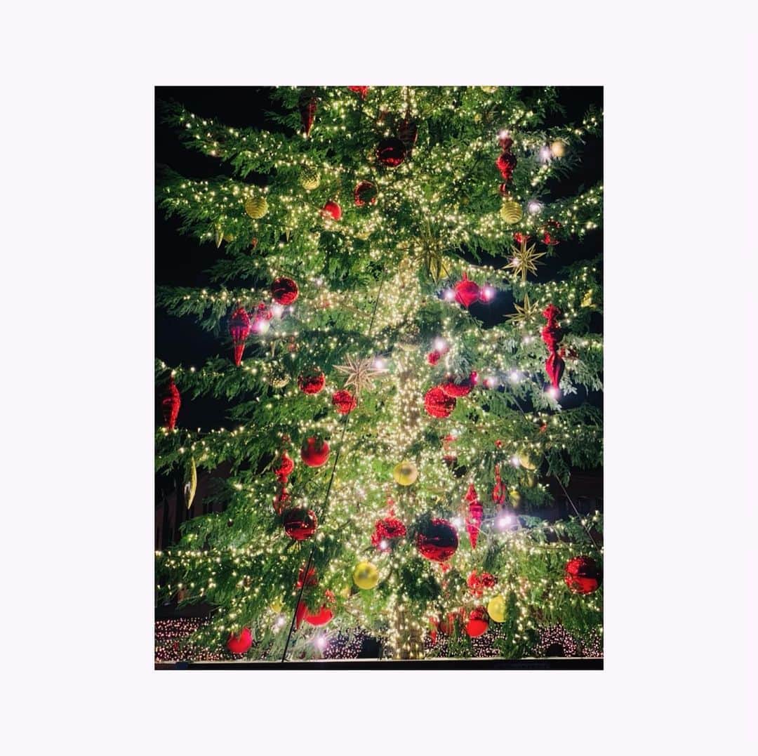 のインスタグラム：「：今さら  クリスマスマーケットのお写真載せます🎄  季節感は無視してください（笑）  高校のお友達とチラッと行きました。人数制限と時間制限があったのでススス、サササっと見たんですけど ツリーが綺麗すぎて、、✨ さらに花火もあがったんです✨  あとね、クリスマスマーケットはごはんがおいしい🍴  3人でソーセージとかリゾットとかハムとか色々食べたなぁ ほんとに楽しかった！  思えば前回はありねと行ってハーバリウムのペンを作りました。 来年も行きたいなぁ🙂  #クリスマス #クリスマスマーケット #ごはん #ソーセージ #ドイツ #食べるの大好き  #ツリー #も綺麗だけど #とにかく #おいしい #横浜 #赤レンガ #みなとみらい #夜景 #綺麗 #わぁーーー」