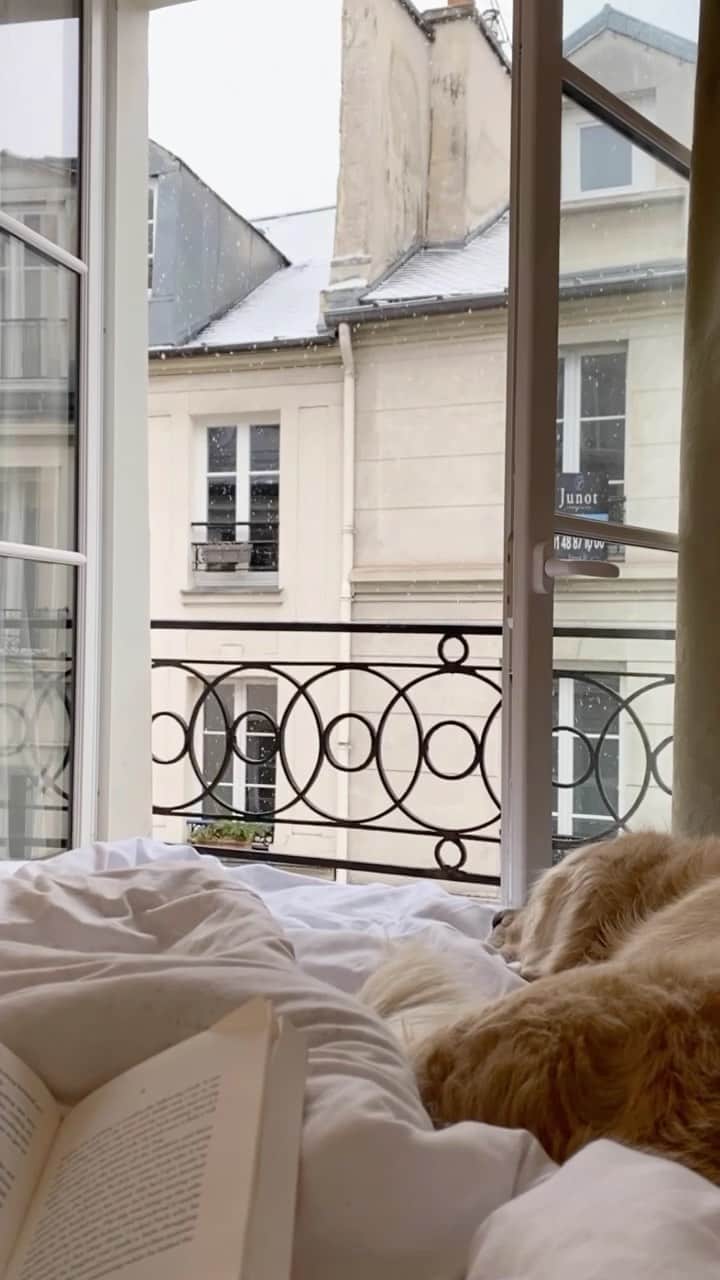 JanessaLeoneのインスタグラム：「Paris neige xx JL」