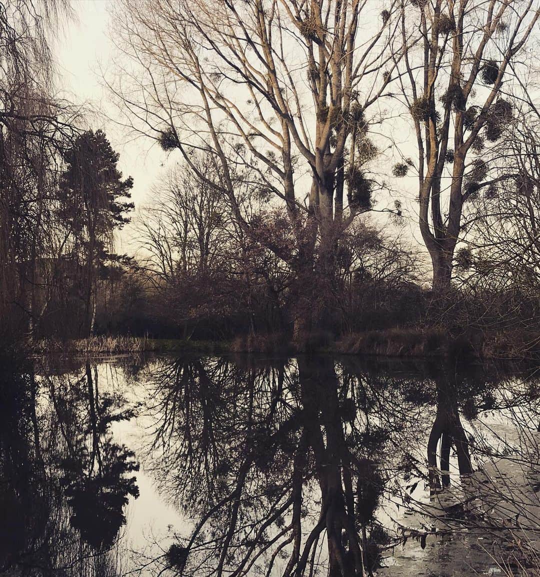 のインスタグラム：「Swimming and a whole lot of kissing right there ...roll on long sunny days ❤️😻 #mistletoe - I vote we now make it useful all year around 💋💋💋 #somerset」