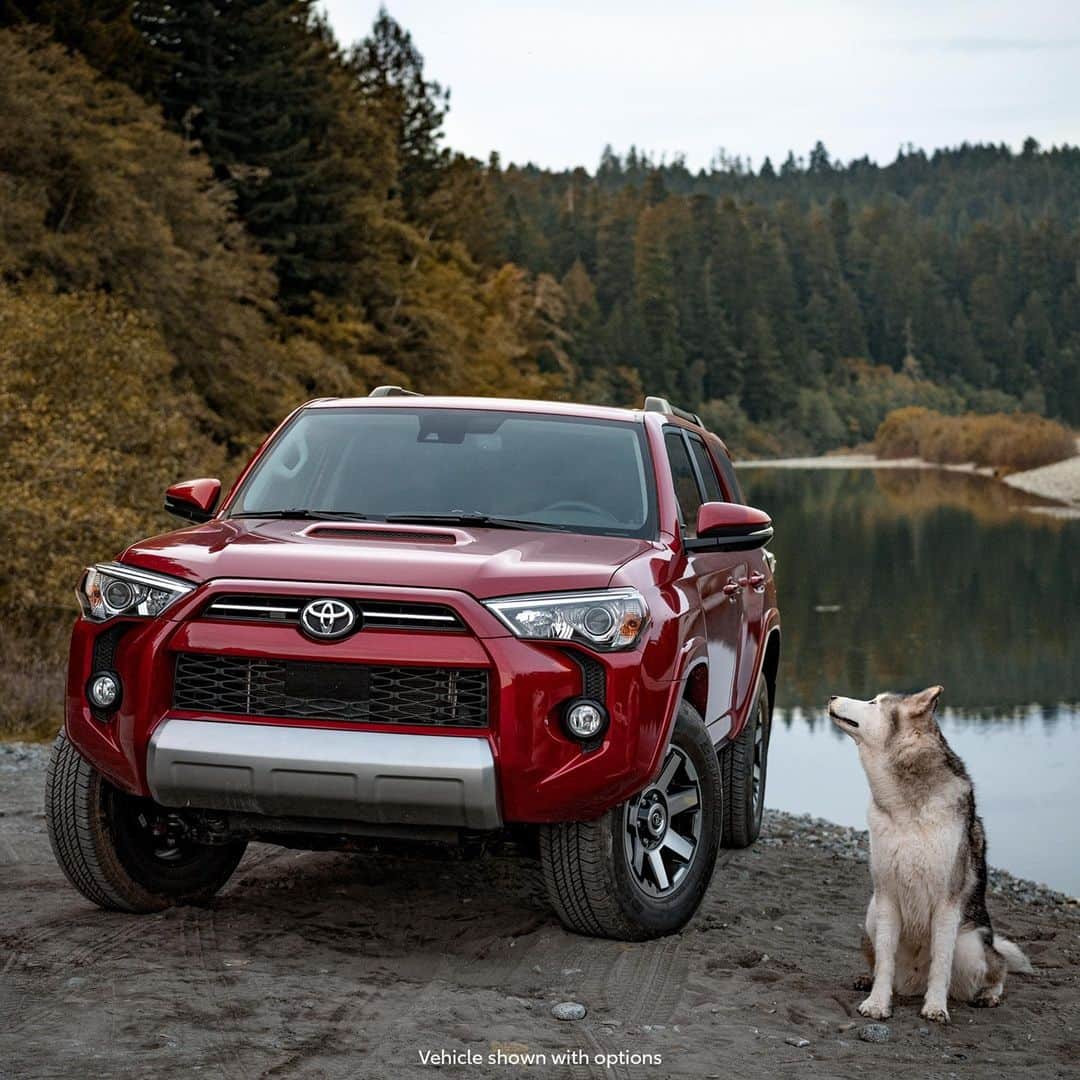 toyotausaさんのインスタグラム写真 - (toyotausaInstagram)「"You wanna go for a ride?" @loki #4Runner #TRD Off-Road #LetsGoPlaces」1月17日 3時38分 - toyotausa